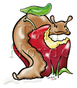 Slug apple 180x160