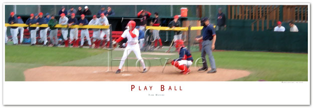 Play Ball 625 x 216